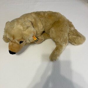 Vintage Steiff Golden Retriever for the American Kennel Association.